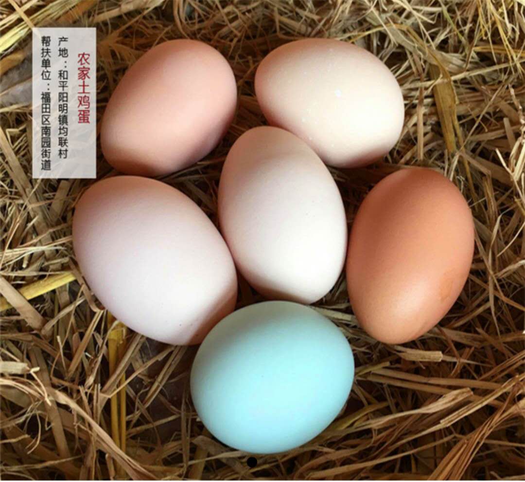 农家土鸡蛋，柴鸡蛋笨鸡蛋|摄影|产品摄影|天使飞不走 - 原创作品 - 站酷 (ZCOOL)